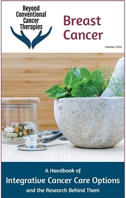 Breast Cancer Handbook cover image