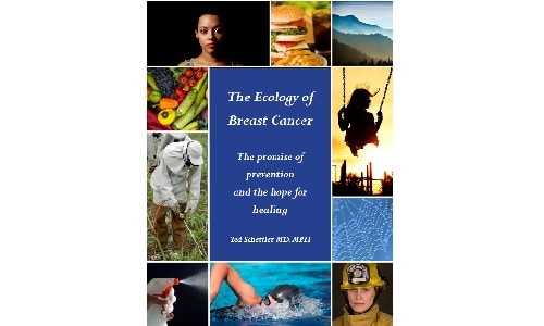 Ecology of Breast Cancer cover