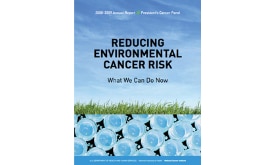 Reducing Environmental Cancer Risk cover