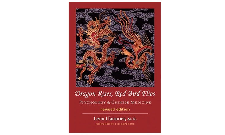 Dragon Rises, Red Bird Flies: Psychology and Chinese Medicine book cover