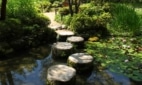 stepping stones in a Japanese garden symbolize connection, movement toward a goal, and calm