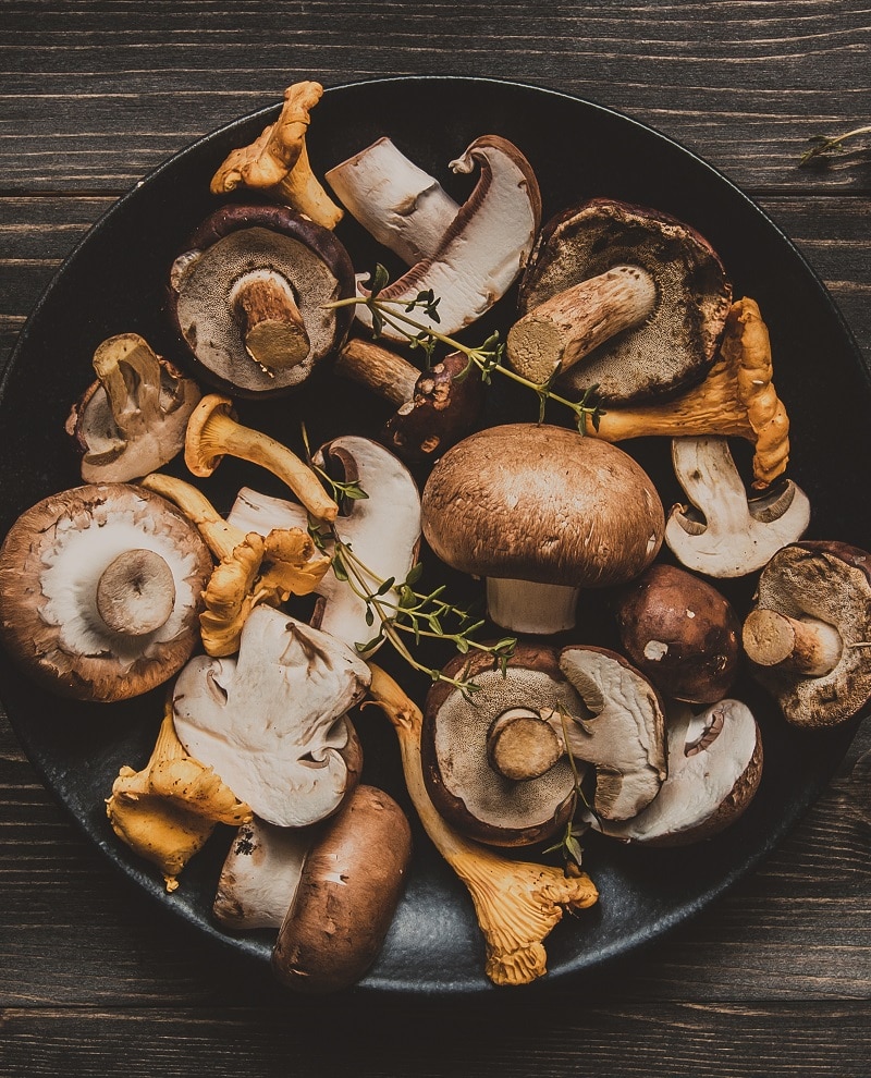 an assortment of mushrooms