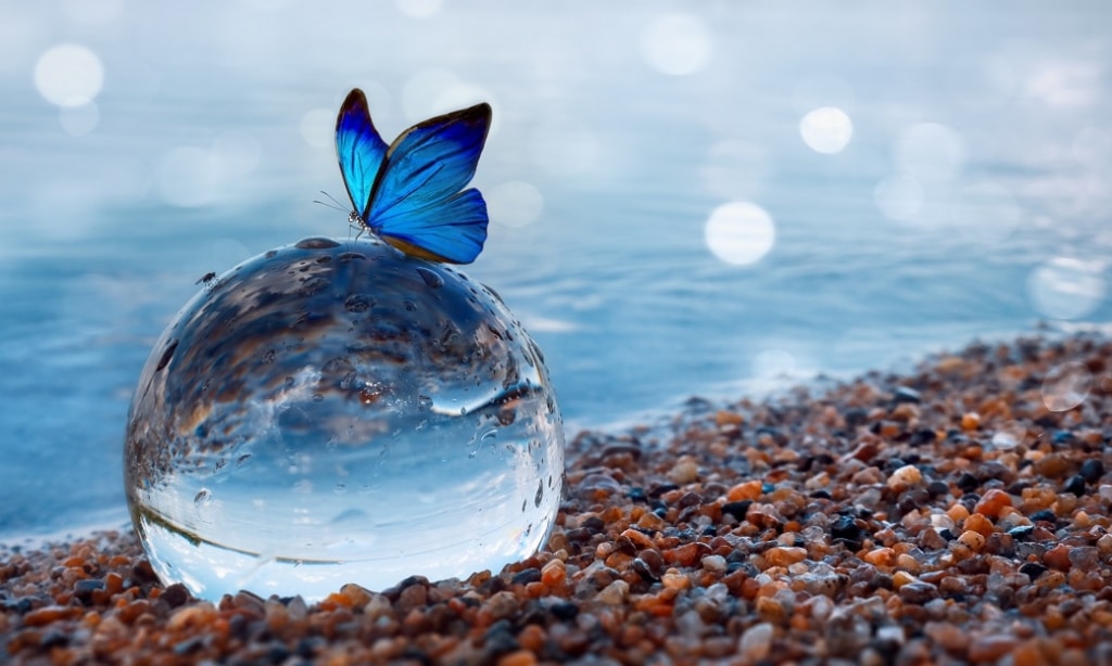 A butterfly lands gently on a crystal ball at the seashore.